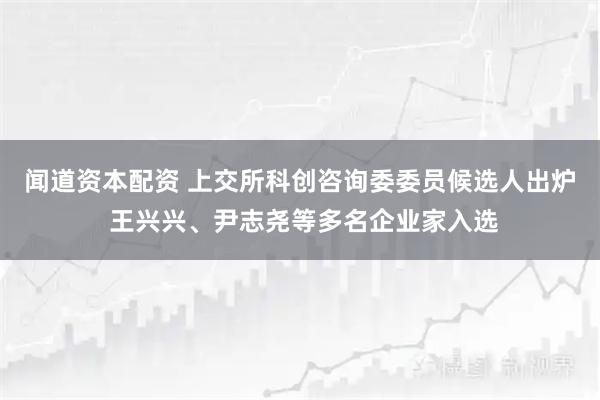 闻道资本配资 上交所科创咨询委委员候选人出炉 王兴兴、尹志尧等多名企业家入选