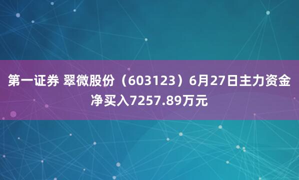 第一证券 翠微股份（603123）6月27日主力资金净买入7257.89万元